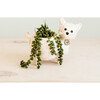 Baby Cat Animal Planter, White - Planters - 4