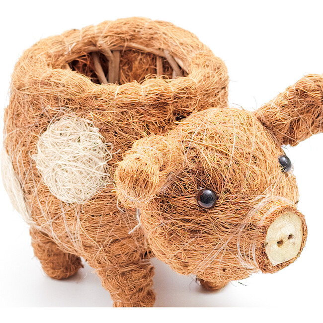 Baby Pig Animal Planter, Brown - Planters - 6