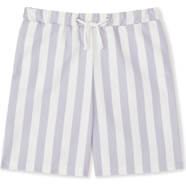 Board Retro Stripe Shorts, Evening Haze