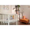 PIP1500-2 5.0" Video Baby Monitor with 2 Cameras - Baby Monitors - 5