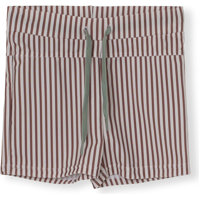 Gerryan Swim Shorts Print Acorn, Brown Stripes
