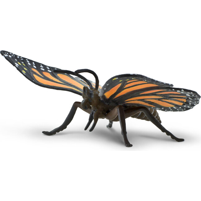 Incredible Insects Set - STEM Toys - 2