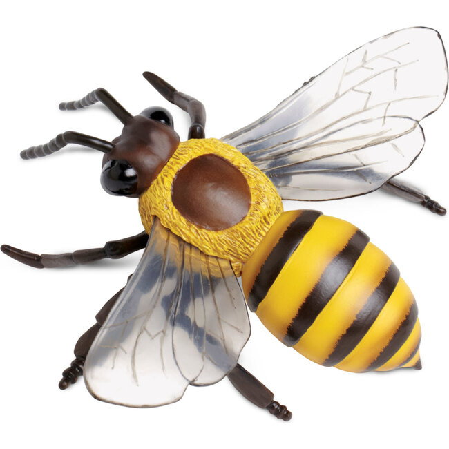 Incredible Insects Set - STEM Toys - 3