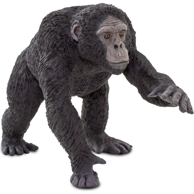 Wildlife Set - STEM Toys - 4