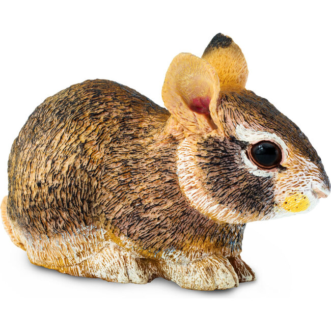 Cute Creatures Pets Set - STEM Toys - 5
