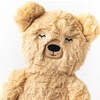 Honey Bear's Gratitude Plush Kin and Book Bundle, Honey - Plush - 3