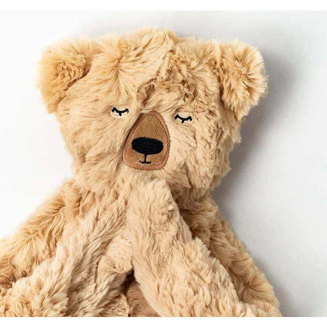 Honey Bear's Gratitude Plush Snuggler and Book Bundle, Honey - Plush - 3