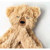 Honey Bear's Gratitude Plush Snuggler and Book Bundle, Honey - Plush - 3