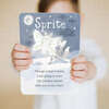 Sprite's Grief and Loss Plush Kin and Book Bundle, Ivory - Plush - 6