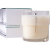 Chrismukkah Candle, Fresh Pine and Salty Ocean Air - Candles - 1 - thumbnail