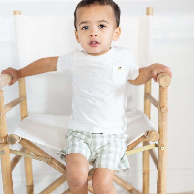 Alexander Shorts in Desert Sage Gingham - Shorts - 2