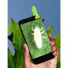 Outdoor Science Lab: Bugs Dirt & Plants - STEM Toys - 4