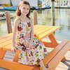 Girls Garden Dress, Parisian Picnic - Dresses - 2