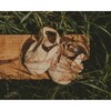 Romi Fluffy Bunny Velcro Strap Leather Sandals, Light Rust - Sandals - 2 - thumbnail