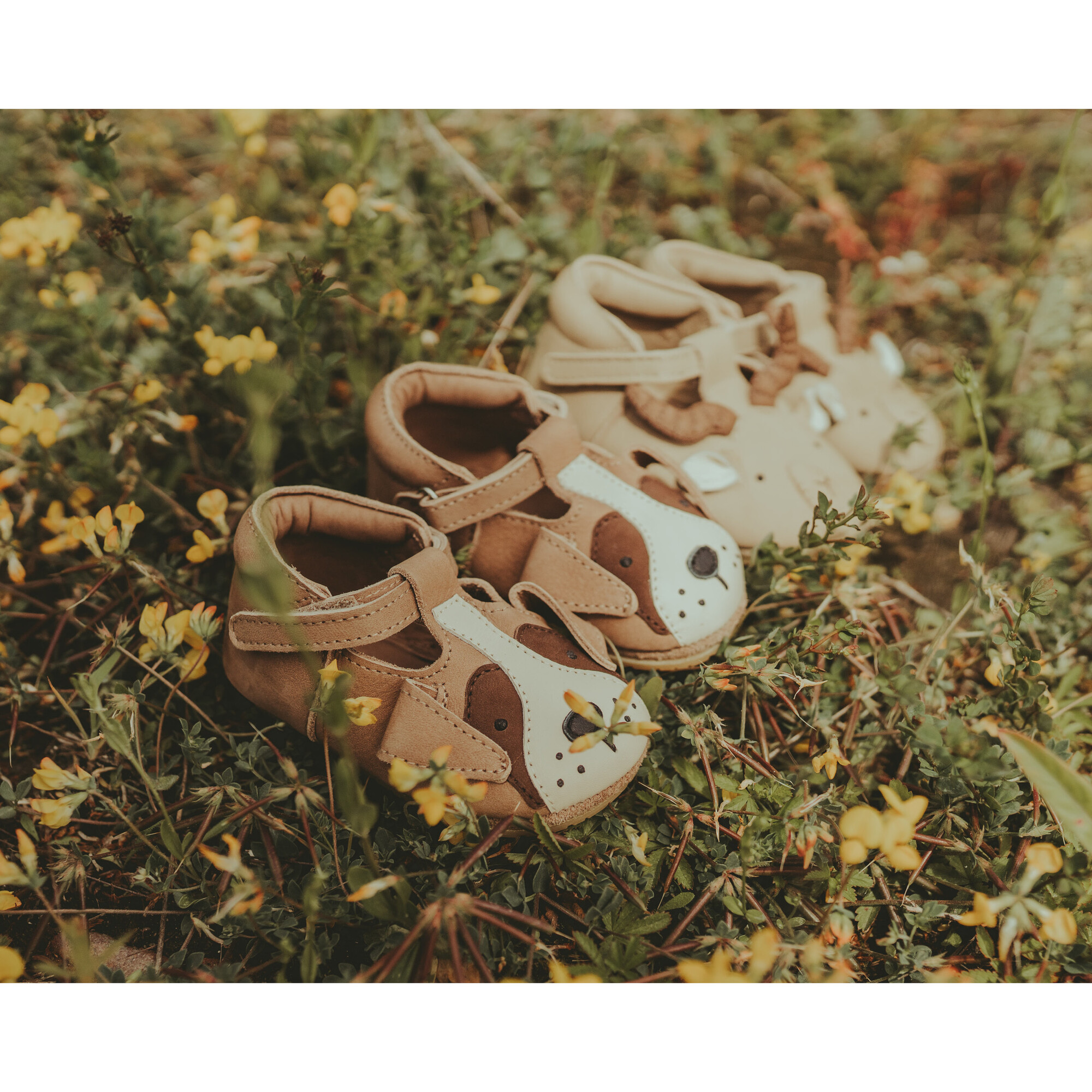Morris Sneakers | Saint Bernard | Truffle Nubuck – Donsje