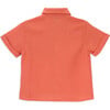 Zale Crew Neck Collared Short Sleeve Shirt, Carrot Orange - Shirts - 2