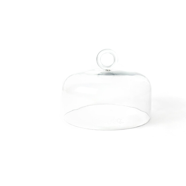 Large Ring Handle Glass Dome