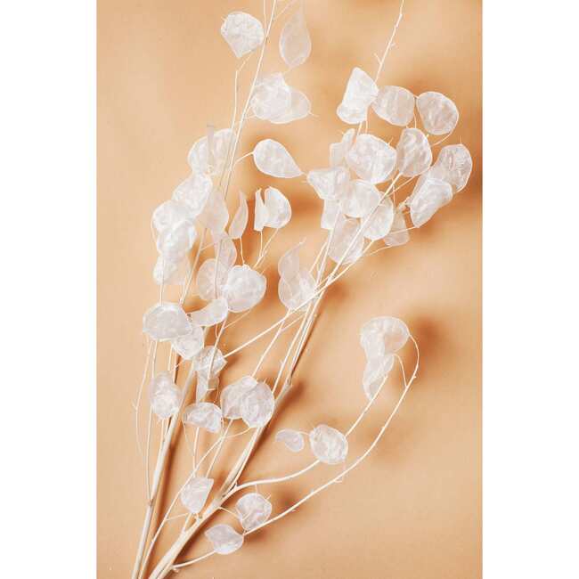 White Lunaria Bunch - Accents - 2