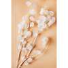 White Lunaria Bunch - Accents - 2