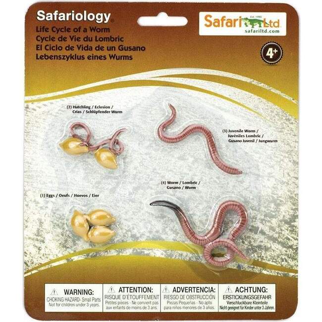 Safari Life Cycle of a Worm