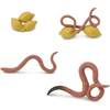 Safari Life Cycle of a Worm - STEM Toys - 2