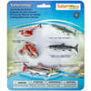 Safari Life Cycle Of A Salmon - STEM Toys - 1 - thumbnail