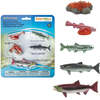 Safari Life Cycle Of A Salmon - STEM Toys - 2