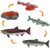 Safari Life Cycle Of A Salmon - STEM Toys - 3