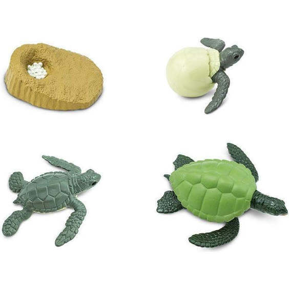 Safari Life Cycle Of A Green Sea Turtle - STEM Toys - 2