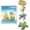 Safari Life Cycle Of A Green Sea Turtle - STEM Toys - 3