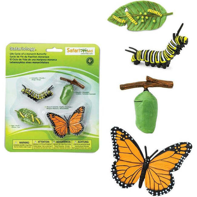 Safari Life Cycle Of A Monarch Butterfly - STEM Toys - 2