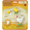 Safari Life Cycle Of A Chicken - STEM Toys - 1 - thumbnail