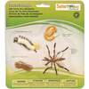 Safari Life Cycle of a Mosquito - STEM Toys - 1 - thumbnail