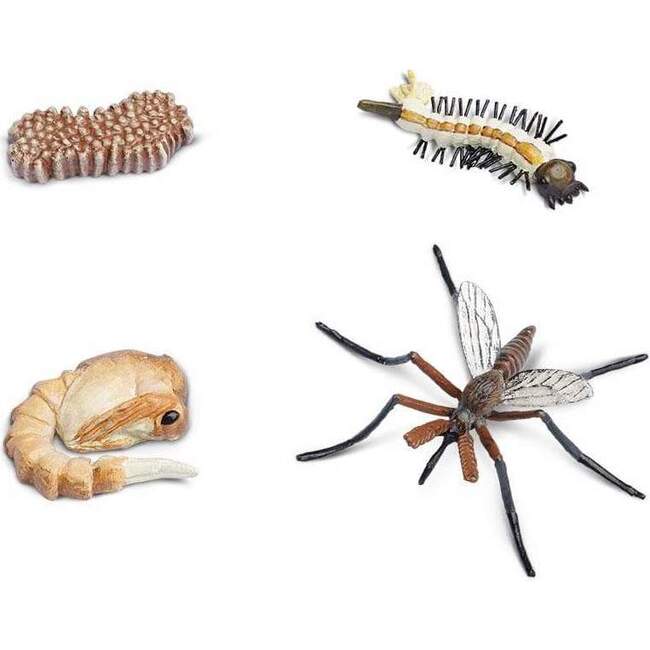 Safari Life Cycle of a Mosquito - STEM Toys - 2