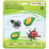 Safari Life Cycle Of A Ladybug - STEM Toys - 1 - thumbnail