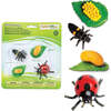 Safari Life Cycle Of A Ladybug - STEM Toys - 2