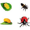 Safari Life Cycle Of A Ladybug - STEM Toys - 3