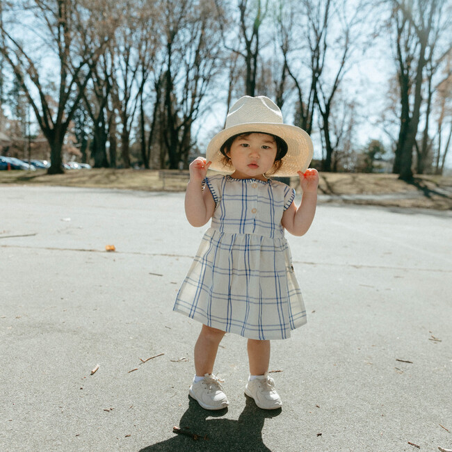 Addie Baby Checked Front Buttoned Dress, Blue Hydrangea - Rompers - 4