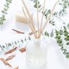White Vetiver Reed Diffuser, Clear - Diffusers - 2