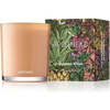 Cedarwood Ginger Candle, Orange - Candles - 1 - thumbnail