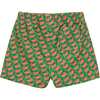 Boys Elasticated Waist Boardshort, Geo - Swim Trunks - 2