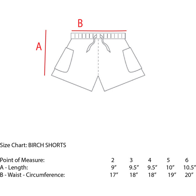 Birch Gingham Drawstring Waist Shorts, Blue - Shorts - 2