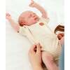 Viscose from Bamboo Organic Cotton S/S Bodysuit, Happy Stripe - Onesies - 3