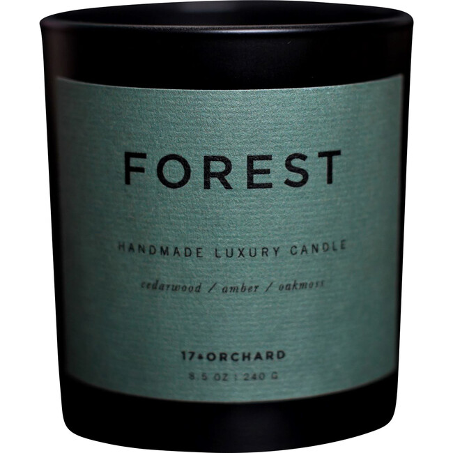 Forest Candle - Cedarwood, Amber, Oakmoss