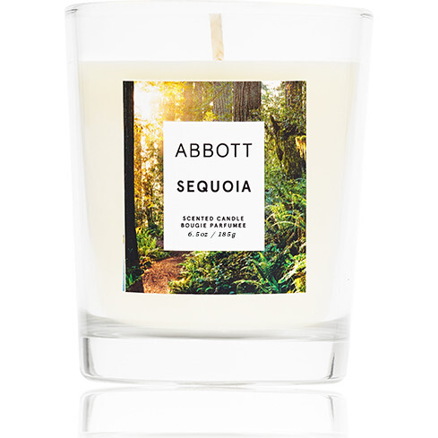 Sequoia Candle