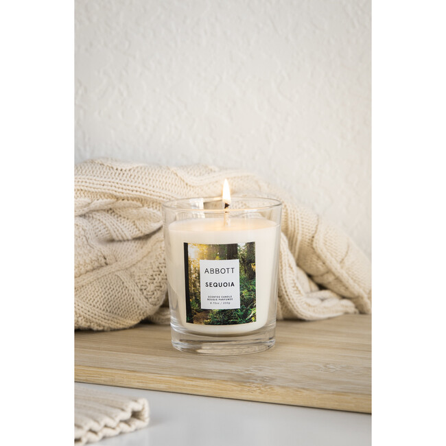 Sequoia Candle
