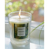 Sequoia Candle - Candles - 3