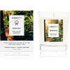 Sequoia Candle - Candles - 4