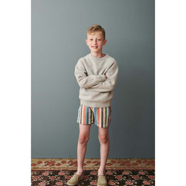 Pepper Stripe Shorts, Multicolors - Shorts - 2