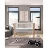 Austin Crib, Fern - Cribs - 2